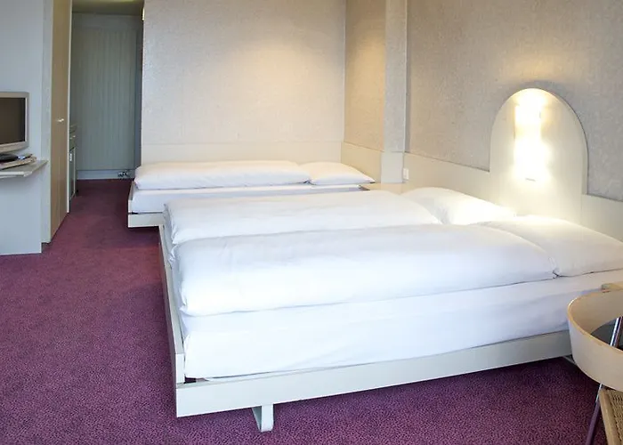 法斯宾德瑞士葡萄酒酒店 酒店 洛桑