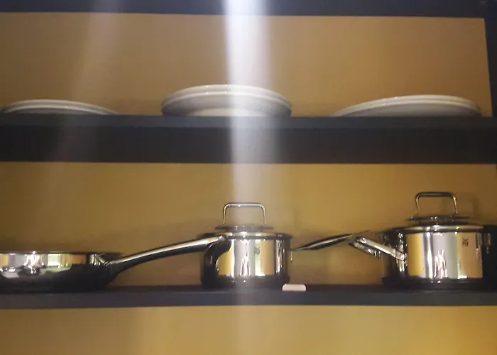 酒店 法斯宾德瑞士葡萄酒酒店 3*